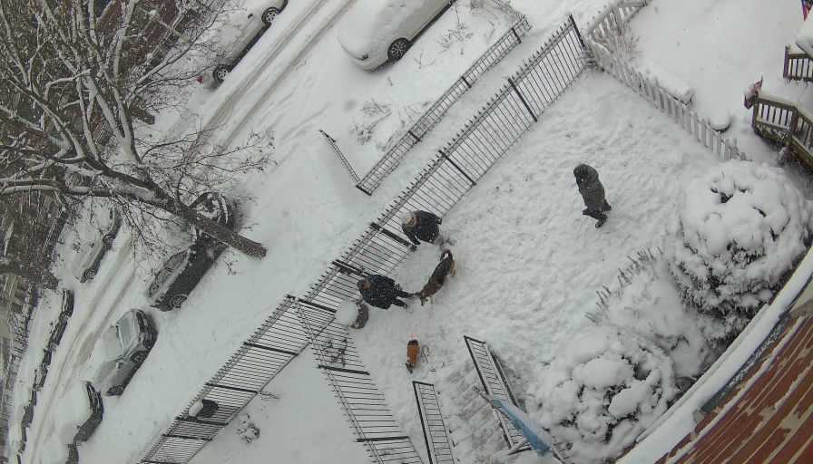 Reolink Camera Two_01_Reolink Home Hub One_20260125144938.jpg